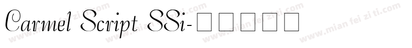 Carmel Script SSi字体转换